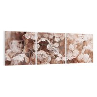 Obraz na płótnie 90x30 - Przemijająca Piękność - fotografia, zbliżenie