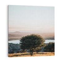 Obraz na płótnie 80x80 - Siła Natury - drzewo, pejzaż