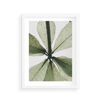 Plakat w ramie 40x50 - Jasna Zieleń w Makro - makro zdjęcie liści, jasna zieleń - rama biała