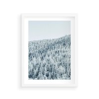 Plakat w ramie 40x50 - Cicha Zima - las, zima - rama biała