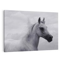 Obraz na płótnie 120x80 - Moc i Wolność - czarno biała fotografia, biały