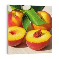 Obraz na płótnie 50x50 - Brzoskwinie Delikatny Urok - brzoskwinie, owoce