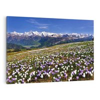 Obraz na płótnie 120x80 - Wiosenne Czarowanie - krokusy, góry