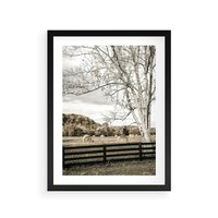 Plakat w ramie 50x70 - Drzewa i Snopki Siana - farma, drzewa - rama czarna