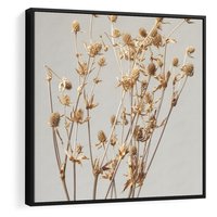 Obraz w ramie 50x50 - Delikatne gipsówki - gipsówka, suche - rama czarna