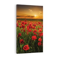 Obraz na płótnie 80x120 - Maki na łące: Przebudzenie wiosny - mak, maki