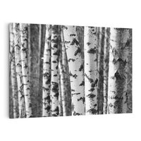 Obraz na płótnie 120x80 - Kontrast Monochromatyczny - brzozy, czarno