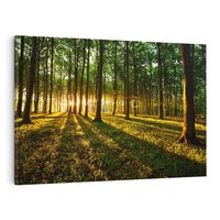 Obraz na płótnie 120x80 - Mistyfikujący urok leśnej głuszy - las, drzewa