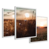 Zestaw obrazy w ramie 40x50 galeria - Zachód, słońca, łąka, kwiaty - rama biała