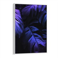 Obraz w ramie 50x70 - Mroczna Magia Dżungli - mroczna grafika, fioletowe liście monstery na czarnym tle - rama biała