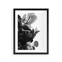 Plakat w ramie 50x70 - Blisko Natury - liście, rośliny tropikalne - rama czarna