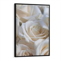 Obraz w ramie 50x70 - Białe róże piękności - białe, róże - rama czarna