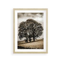 Plakat w ramie 30x40 - Spokojna Osamotniona Chwila - beżowe kolory, samotne drzewo na polu - rama drewno