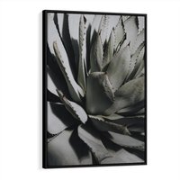Obraz w ramie 50x70 - Sukulenty wśród kaktusów - sukulenty, kaktusy - rama czarna