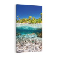 Obraz na płótnie 80x120 - Tropikalne Morze i Kolorowa Rafa - tropikalne, morze