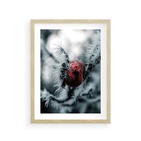 Plakat w ramie 30x40 - Chwila Zimowego Uroku - zima, ośnieżona gałązka - rama drewno