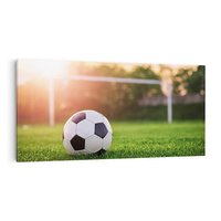 Obraz na płótnie 140x70 - Emocje na stadionie - piłka nożna, stadion