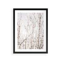Plakat w ramie 30x40 - Szron na Gałęziach - ośnieżone gałązki, szron na gałęziach - rama czarna