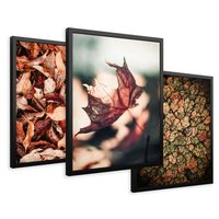 Zestaw obrazy w ramie 40x50 galeria - Jesienny, las, liście - rama czarna