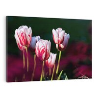 Obraz na płótnie 100x70 - Kwiatowy raj w naturze - kwiat, kwiaty