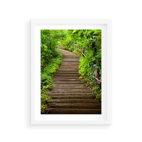 Plakat w ramie 30x40 - Magia Leśnej Ścieżki - ścieżka, w lesie - rama biała
