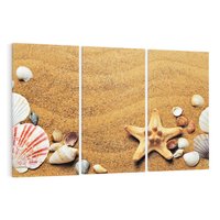 Obraz na płótnie 120x80 - Muszelki na malowniczej plaży - muszle, muszelki