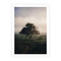 Plakat bez ramy 40x50 - Zamglona Prostota - artystyczna fotografia, samotne drzewo na zamglonej łące