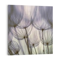 Obraz na płótnie 40x40 - Makro dmuchawiec - piękno drobnych detali - dmuchawce, makro