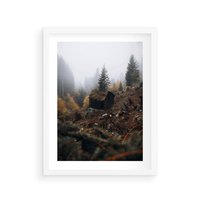 Plakat w ramie 50x70 - Górski las - stary zniszczony domek w górach, góry - rama biała
