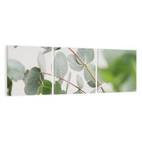 Obraz na płótnie 90x30 - Liście eukaliptusa w naturze - eukaliptus, liście