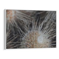 Obraz w ramie 100x70 - Ulotna Piękność Natury - makro, dmuchawce - rama biała