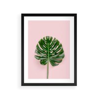 Plakat w ramie 40x50 - Egzotyczna Roślinność - liście, monstera - rama czarna