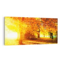 Obraz na płótnie 140x70 - Magia jesiennego lasu - las, drzewa