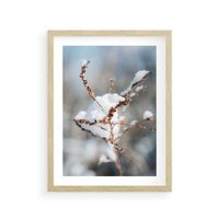 Plakat w ramie 40x50 - Zimowy Urok Natury - gałązki pod śniegiem, natura - rama drewno