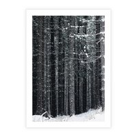 Plakat bez ramy 21x30 - Leśna Cisza: Malowniczy Pejzaż Zimą - las zimą, ośnieżone pnie drzew