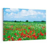 Obraz na płótnie 120x80 - Kolorowa łąka pełna maku - łąka, maki