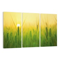 Obraz na płótnie 120x80 - Zboże w kłosach: Oda do plonów natury - zboże, kłos