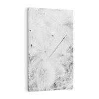 Obraz na płótnie 80x120 - Zdmuchnięty Puch - dmuchawce, delikatne