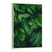 Obraz w ramie 70x100 - Palma Liście Kwiat - palma, liście - rama drewno