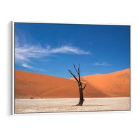 Obraz w ramie 120x80 - Słońce i Suche Drzewo - pustynia, suche - rama biała