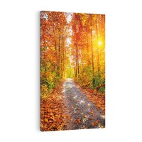 Obraz na płótnie 80x120 - Kolorowe drzewa na ścieżce jesieni - las, jesień