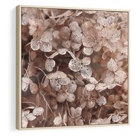 Obraz w ramie 50x50 - Przemijająca Piękność - fotografia, zbliżenie - rama drewno