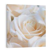 Obraz na płótnie 50x50 - Białe róże piękności - białe, róże