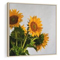 Obraz w ramie 50x50 - Słoneczna Radość - fotografia, żółte słoneczniki - rama drewno