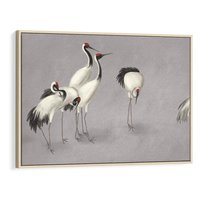 Obraz w ramie 70x50 - Spojrzenie wstecz w pędzlu - szkic rysunek, japońskie żurawie - rama drewno