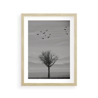 Plakat w ramie 30x40 - Samotne Drzewo - samotne drzewo w polu, czarno białe zdjęcie - rama drewno