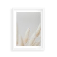 Plakat w ramie 40x50 - Biały Spokój - białe trawy, suche trawy pampas - rama biała