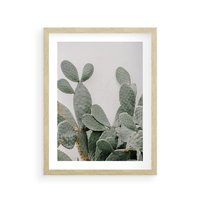 Plakat w ramie 40x50 - Imponujący Kaktus - duży kaktus, opuncja - rama drewno