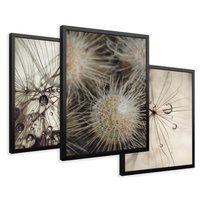 Zestaw obrazy w ramie 30x40 galeria - Dmuchawce, krople, wody, makro - rama czarna