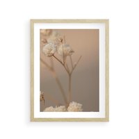 Plakat w ramie 30x40 - Subtelna gipsówka - gipsówka, suche - rama drewno